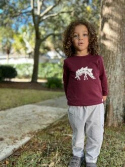 CHEROKEE Burgundy With Dino Skeleton Printed Tee -Me & Henry 0001135782642724 M