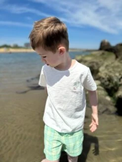 CREW Blue/Neon Plaid Shorts 5 CREW Blue/Neon Plaid Shorts -Me & Henry 00021147876A5142 M