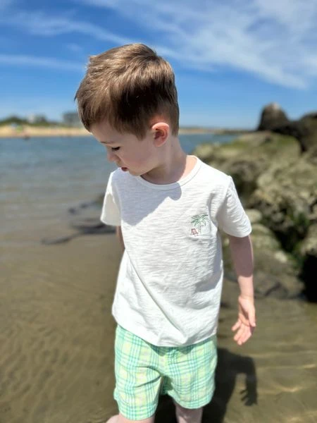 CREW Blue/Neon Plaid Shorts 3 CREW Blue/Neon Plaid Shorts - Image 3