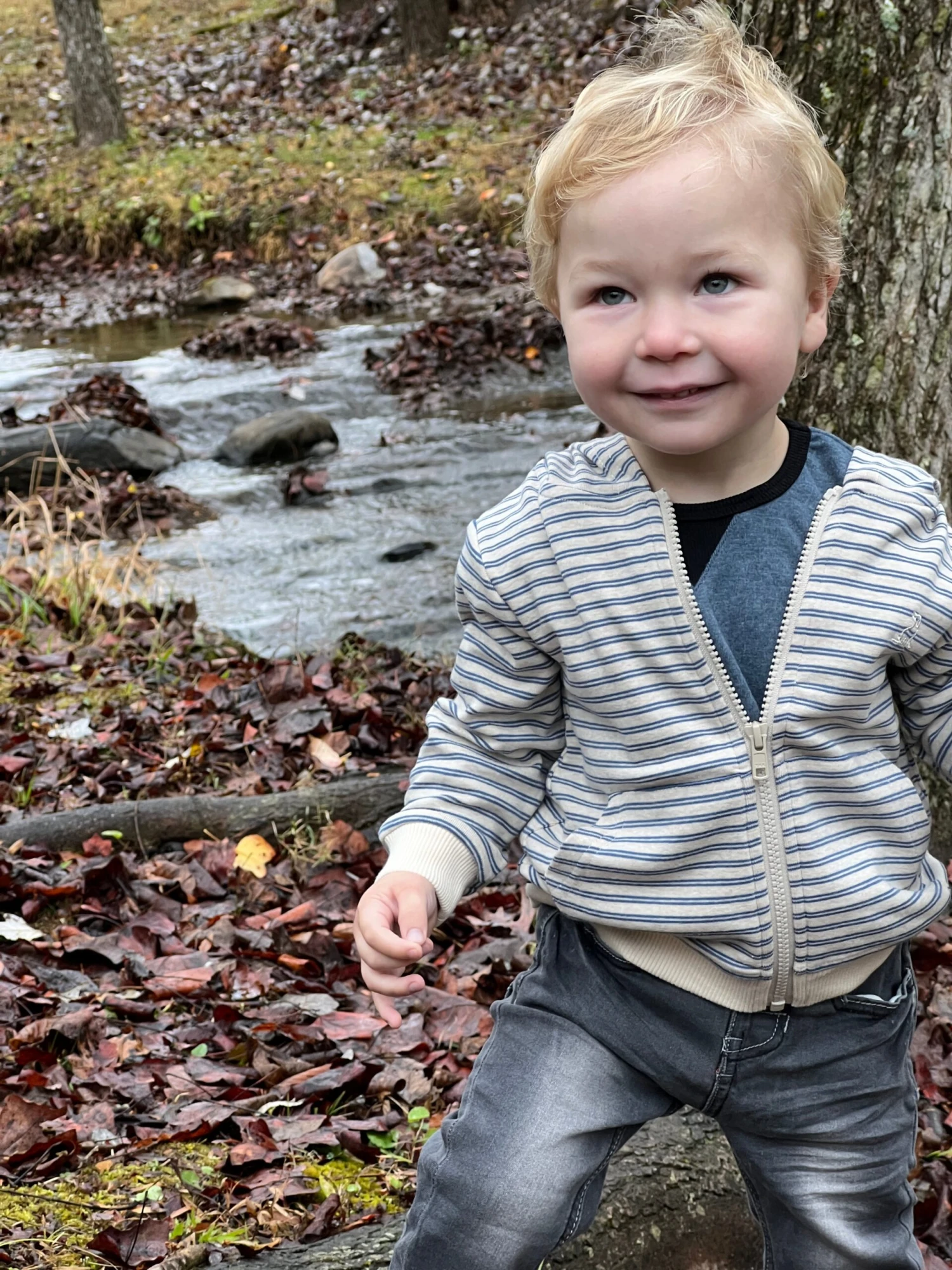 JAMES Blue/Beige Stripe Zipped Hooded Top 2 JAMES Blue/Beige Stripe Zipped Hooded Top - Image 2
