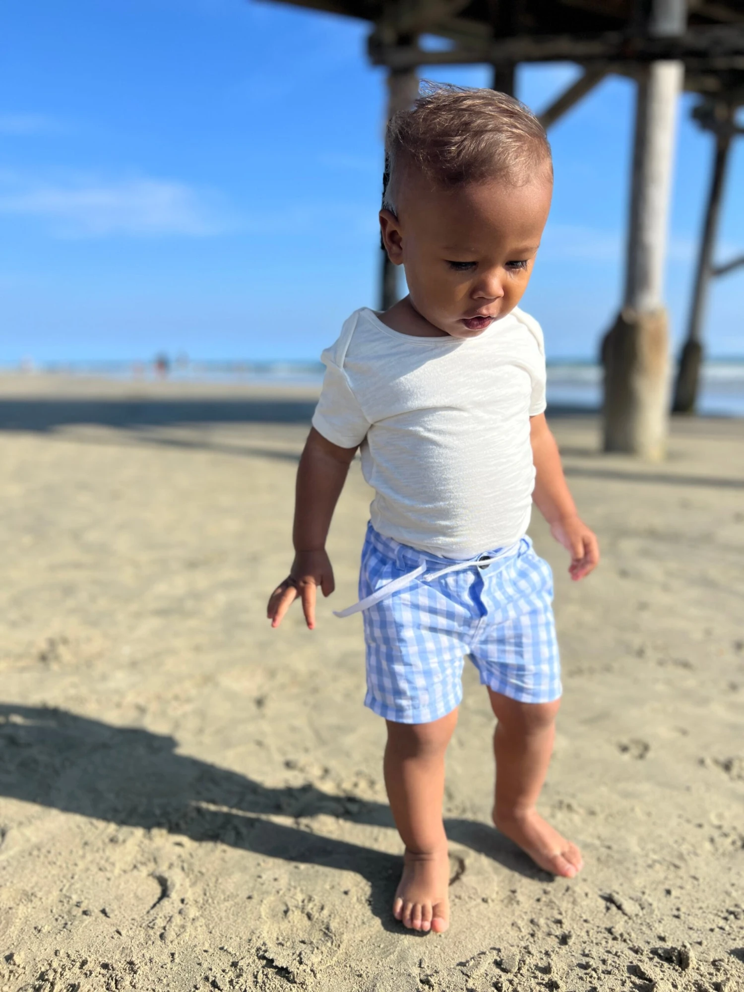 Crew Blue Plaid Shorts 2 Crew Blue Plaid Shorts - Image 2