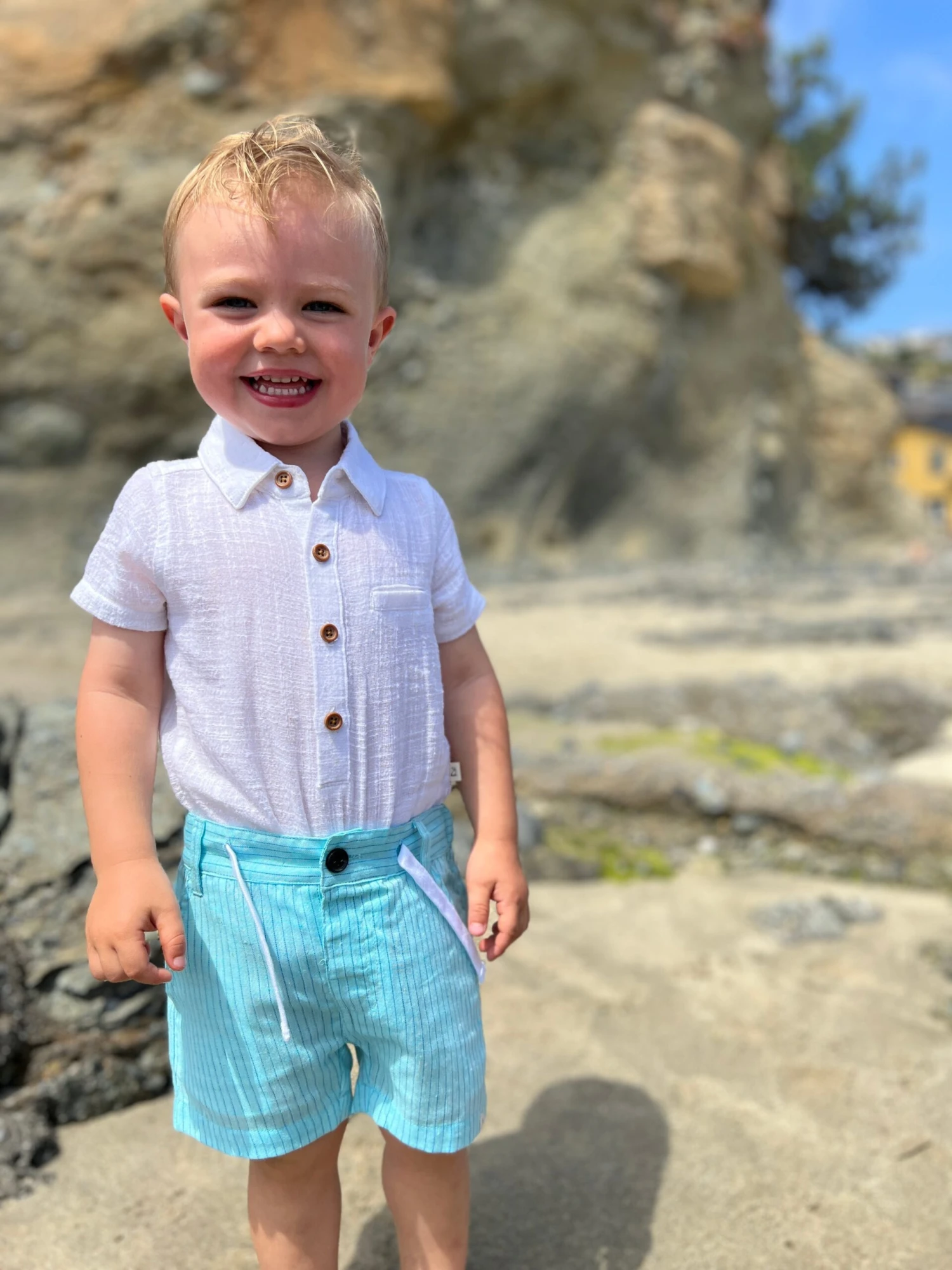 CREW Aqua/Blue Striped Shorts 5 CREW Aqua/Blue Striped Shorts - Image 5