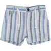 Crew Blue Striped Shorts