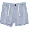 CREW Multi Blue Striped Shorts
