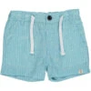 CREW Aqua/Blue Striped Shorts