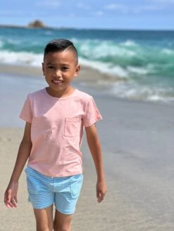 TIMOTHY Aqua/Blue Stripe Pique Shorts 9 TIMOTHY Aqua/Blue Stripe Pique Shorts -Me & Henry HB1284B 1