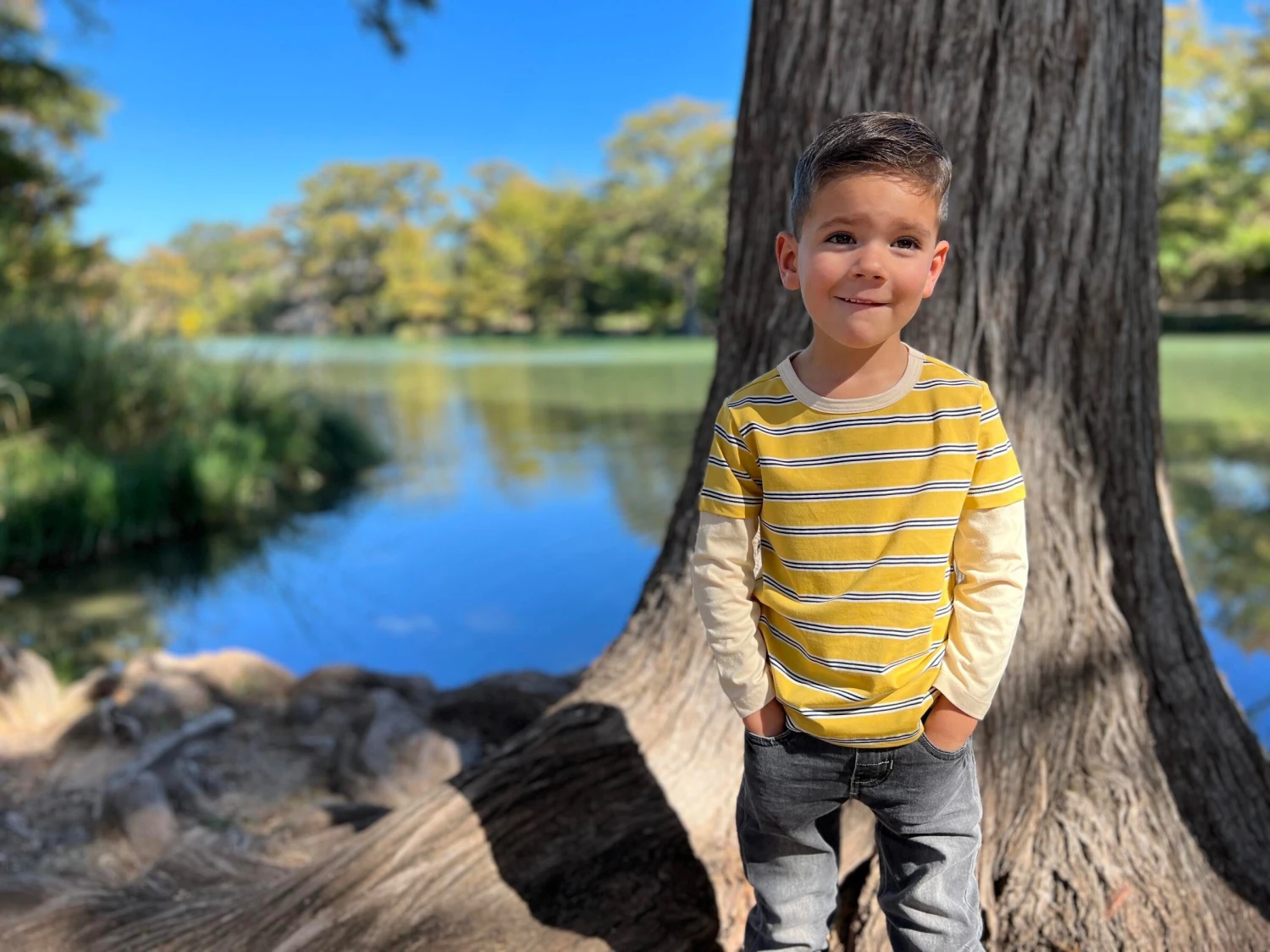 CAMERON Gold/Black Mock Sleeve 3 CAMERON Gold/Black Mock Sleeve - Image 3