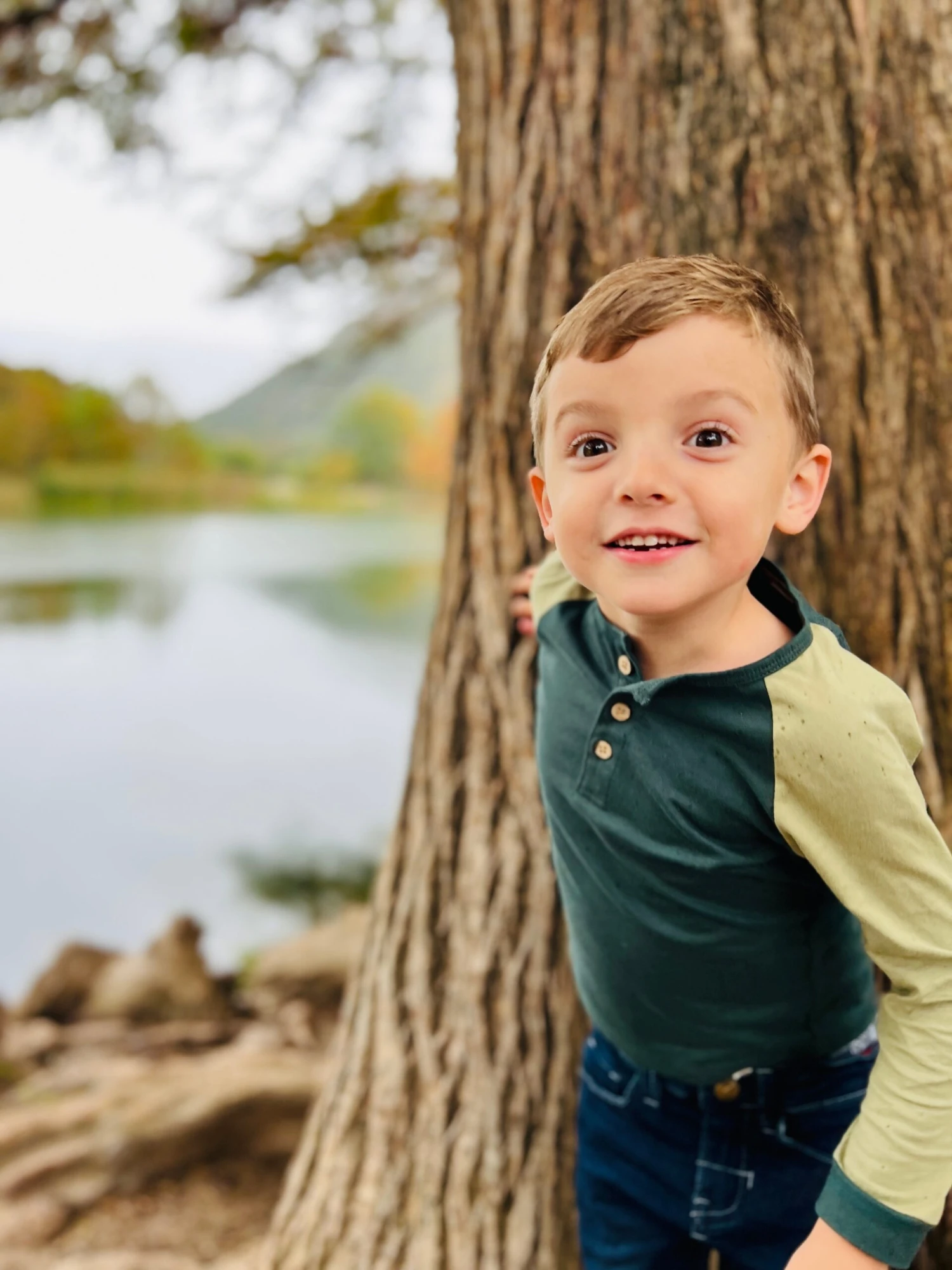 LUGOFF Forest/Sage Raglan Henley 2 LUGOFF Forest/Sage Raglan Henley - Image 2