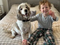 ROCKFORD Green/Brown/Navy Plaid Lounge Pants 10 ROCKFORD Green/Brown/Navy Plaid Lounge Pants -Me & Henry HB1374K HB790C 3