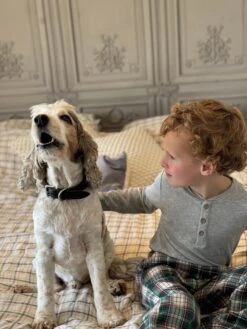 ROCKFORD Green/Brown/Navy Plaid Lounge Pants 9 ROCKFORD Green/Brown/Navy Plaid Lounge Pants -Me & Henry HB1374K HB790C 4