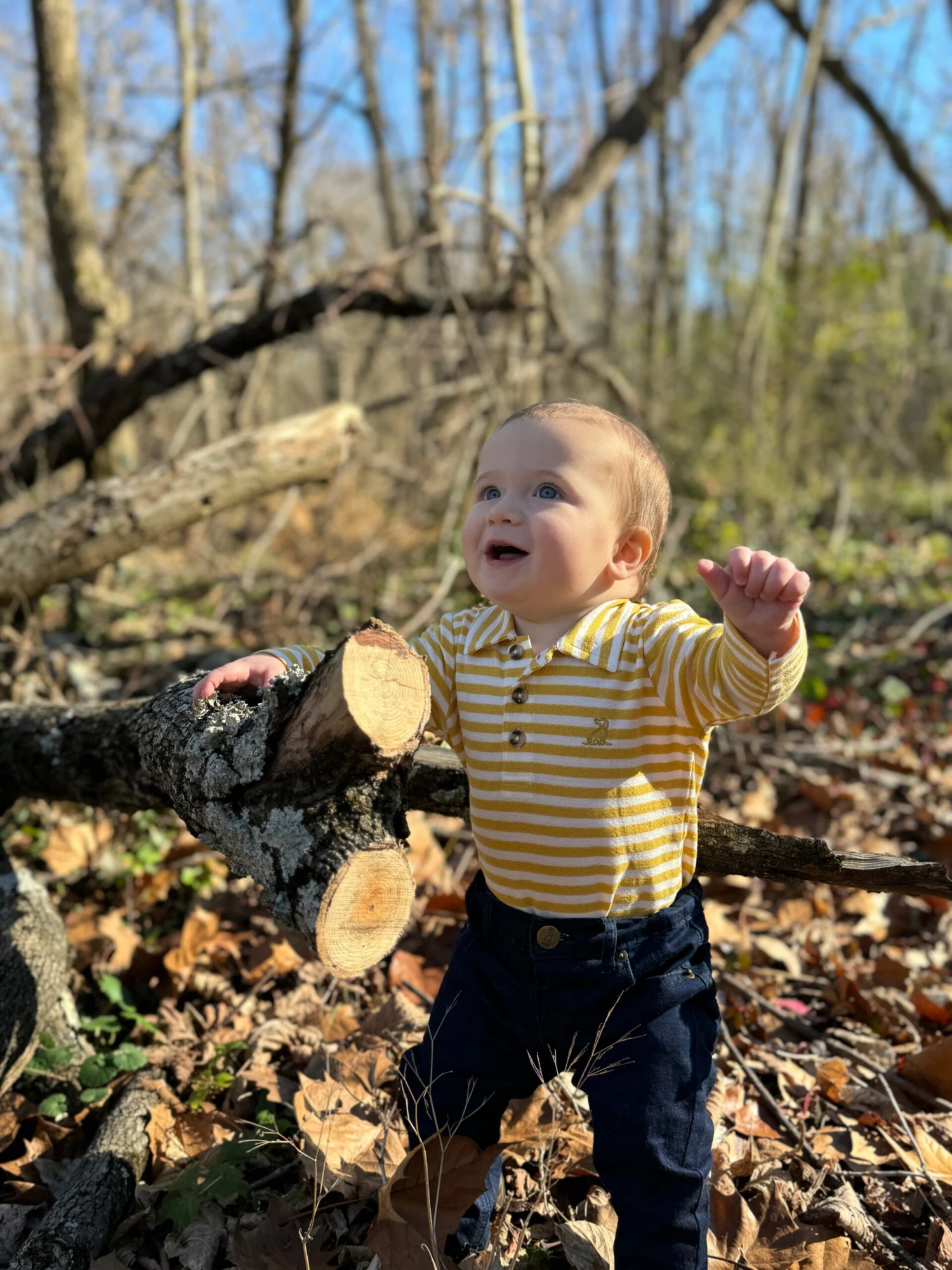 SPENCER Gold/White Polo 6 SPENCER Gold/White Polo - Image 6