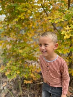 MASCOT Rust/White Stripe Henley 11 MASCOT Rust/White Stripe Henley -Me & Henry HB1376d 3