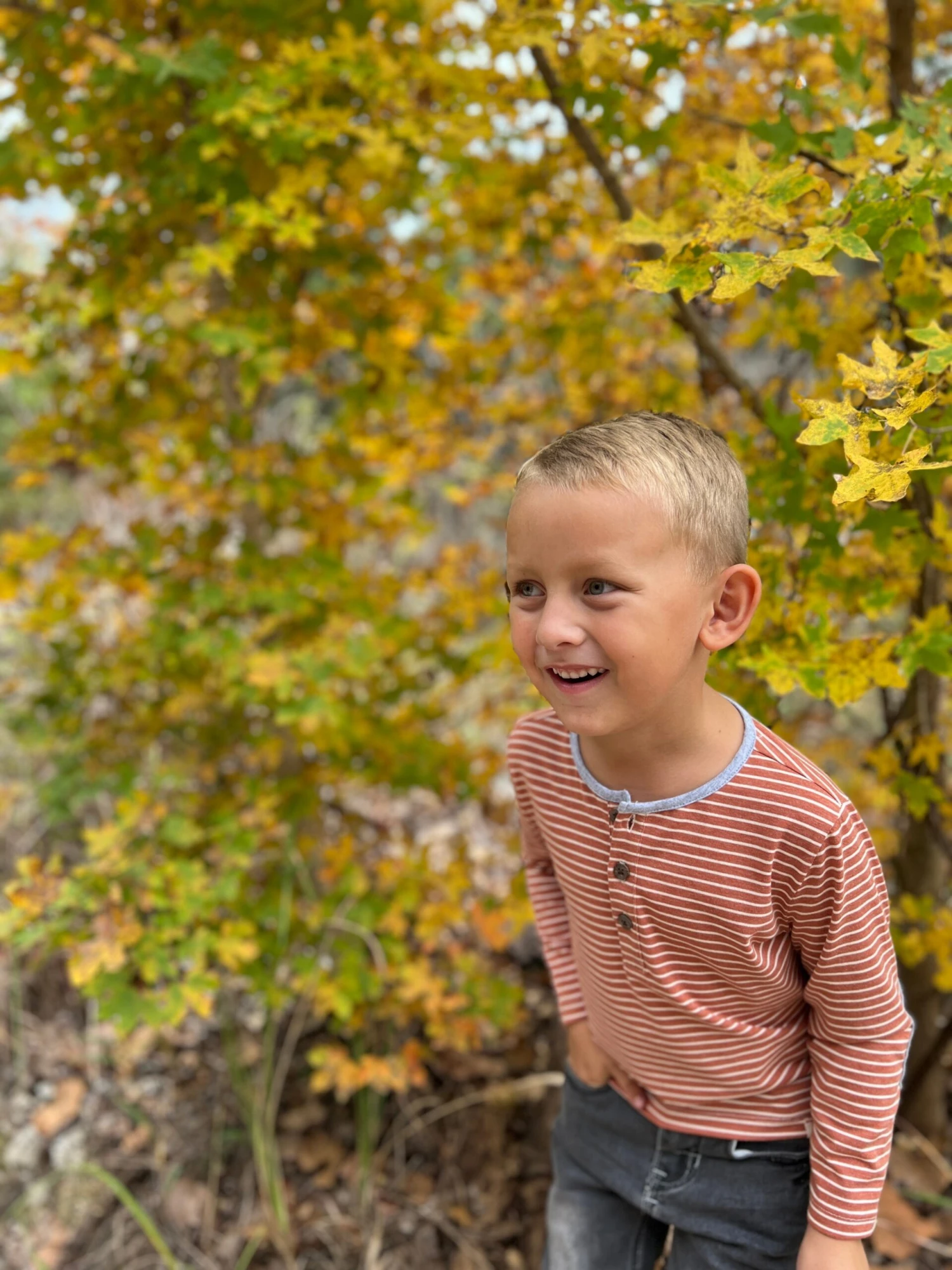 MASCOT Rust/White Stripe Henley 6 MASCOT Rust/White Stripe Henley - Image 6
