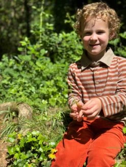 MIDWAY Brown/Beige Stripe Polo -Me & Henry HB1378F HB1339E 1