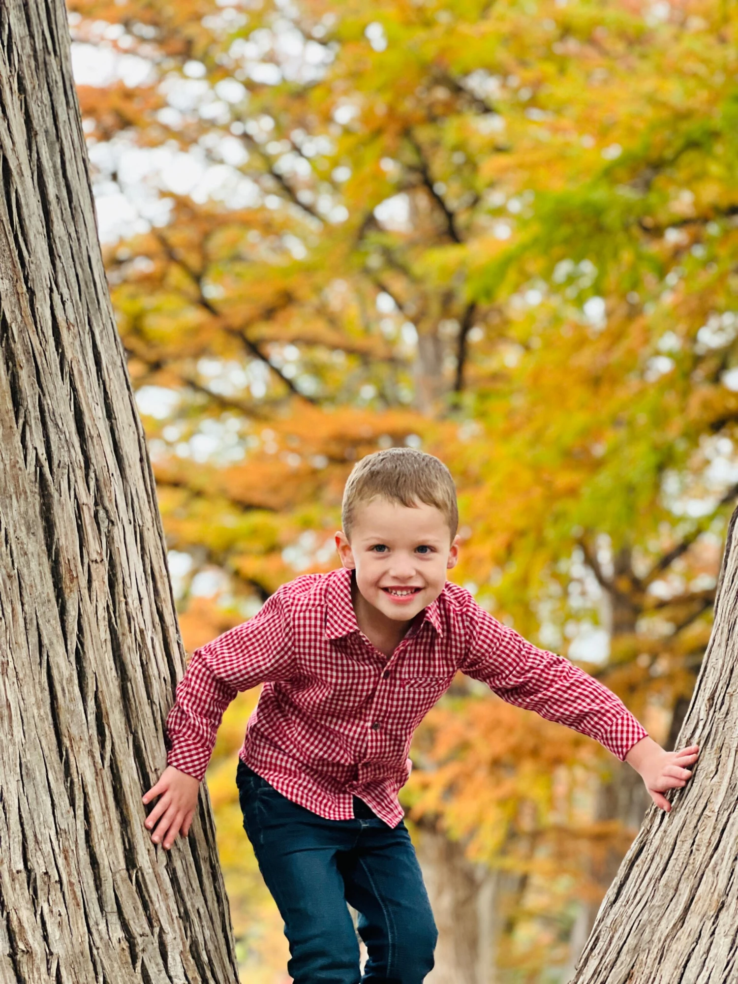 ATWOOD Rust Micro Plaid Woven Shirt 3 ATWOOD Rust Micro Plaid Woven Shirt - Image 3