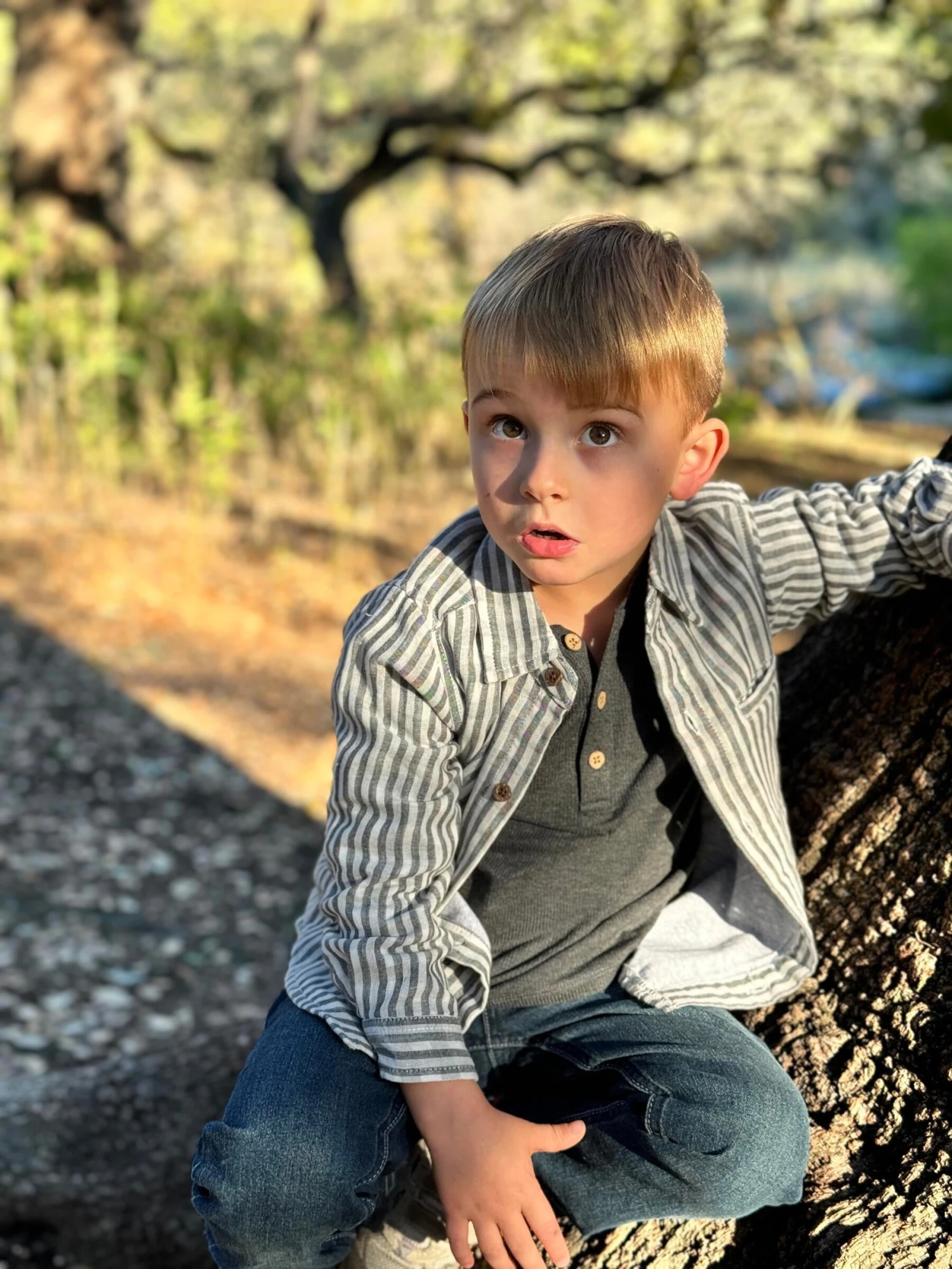 ATWOOD Cream/Black Stripe Woven Shirt 8 ATWOOD Cream/Black Stripe Woven Shirt - Image 8