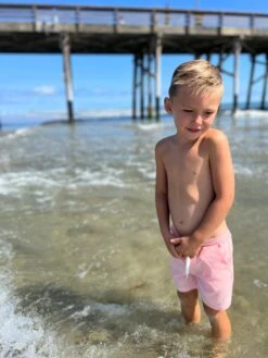 HUGO Pale Pink Twill Boys Shorts -Me & Henry HB170F 6