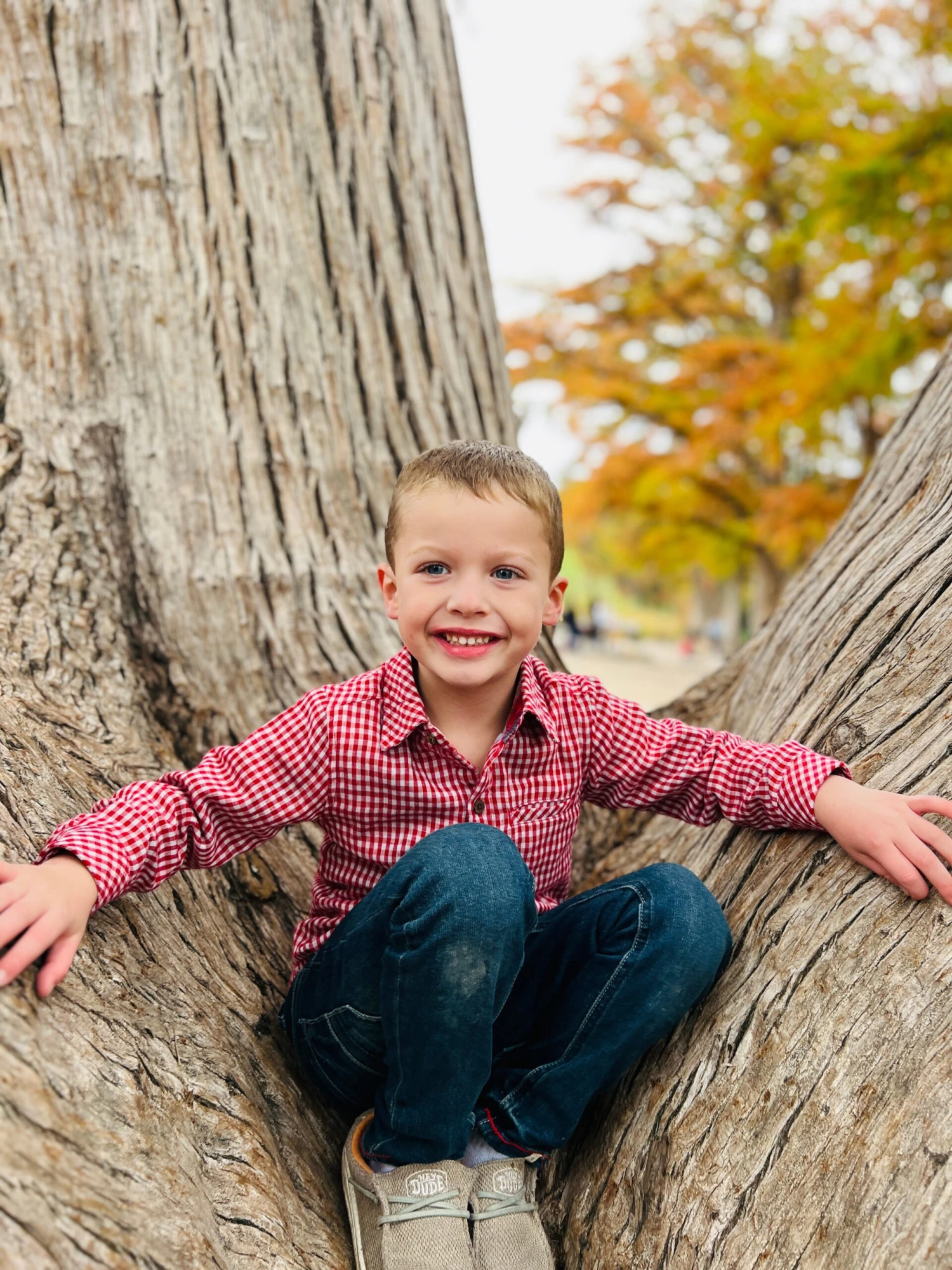 ATWOOD Rust Micro Plaid Woven Shirt 2 ATWOOD Rust Micro Plaid Woven Shirt - Image 2