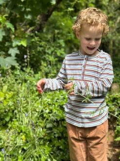 ERWIN Brown/sage/blue STriped Ribbed Henley -Me & Henry HB731B 1