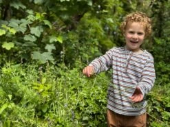 ERWIN Brown/sage/blue STriped Ribbed Henley -Me & Henry HB731B 2