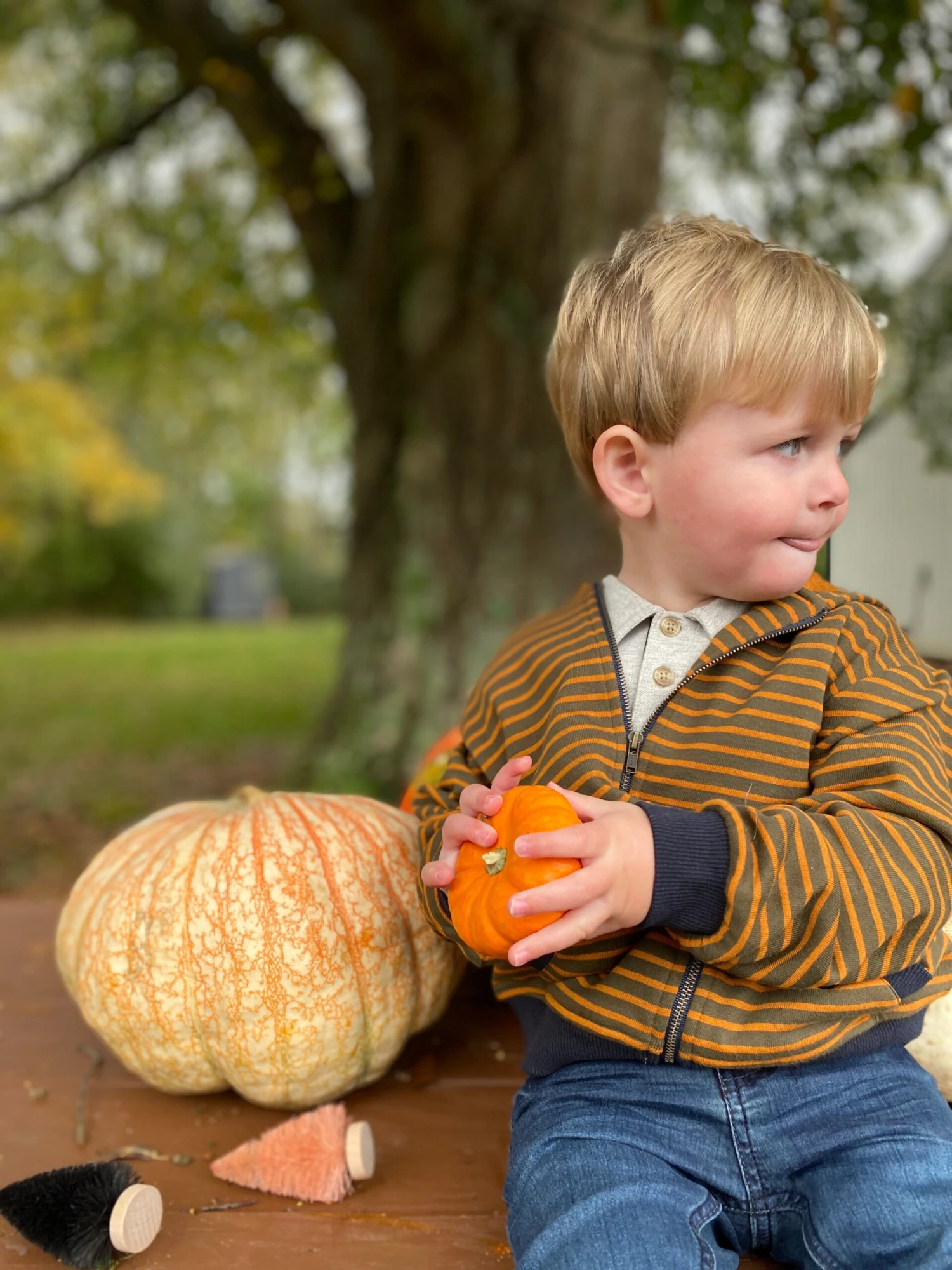 Gold/mushroom Striped Zipped Hooded Top 2 Gold/mushroom Striped Zipped Hooded Top - Image 2