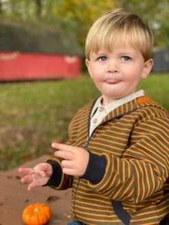 Gold/mushroom Striped Zipped Hooded Top 5 Gold/mushroom Striped Zipped Hooded Top -Me & Henry HB757c 3