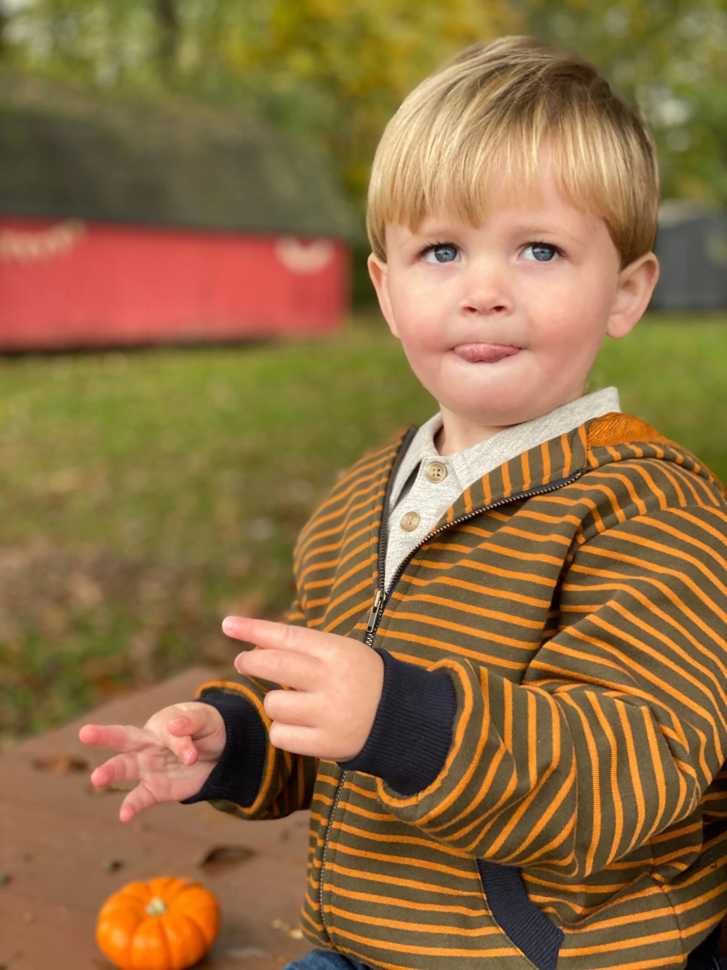Gold/mushroom Striped Zipped Hooded Top 3 Gold/mushroom Striped Zipped Hooded Top - Image 3