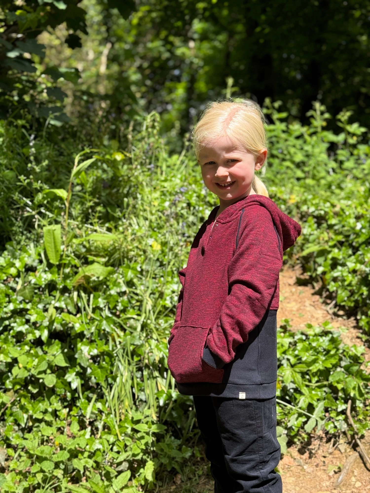 JAMES Wine/black Heathered Hooded Top 2 JAMES Wine/black Heathered Hooded Top - Image 2