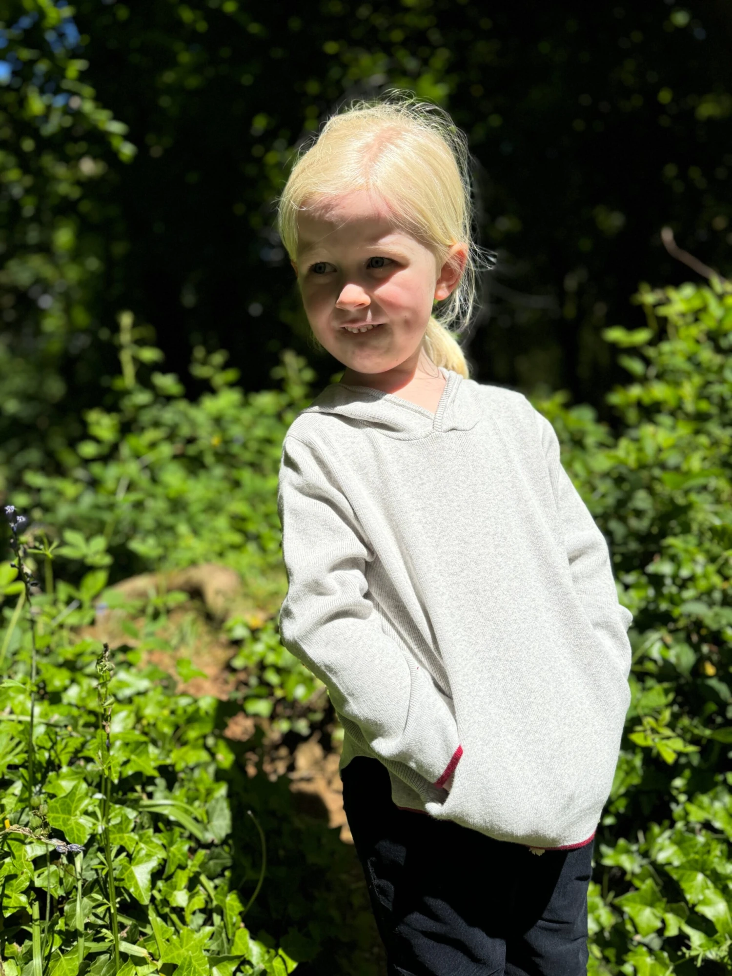 LEIPER Grey Hooded Sweater 2 LEIPER Grey Hooded Sweater - Image 2