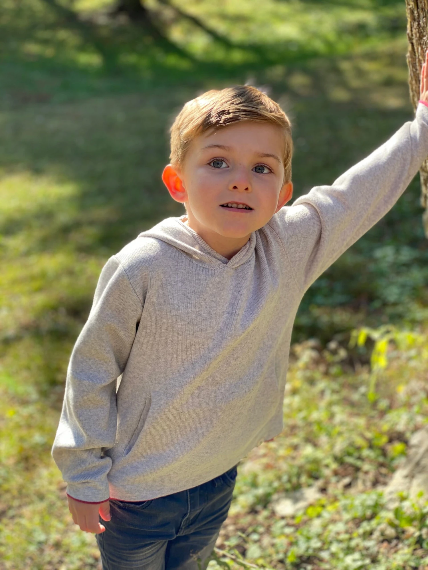 LEIPER Grey Hooded Sweater 5 LEIPER Grey Hooded Sweater - Image 5