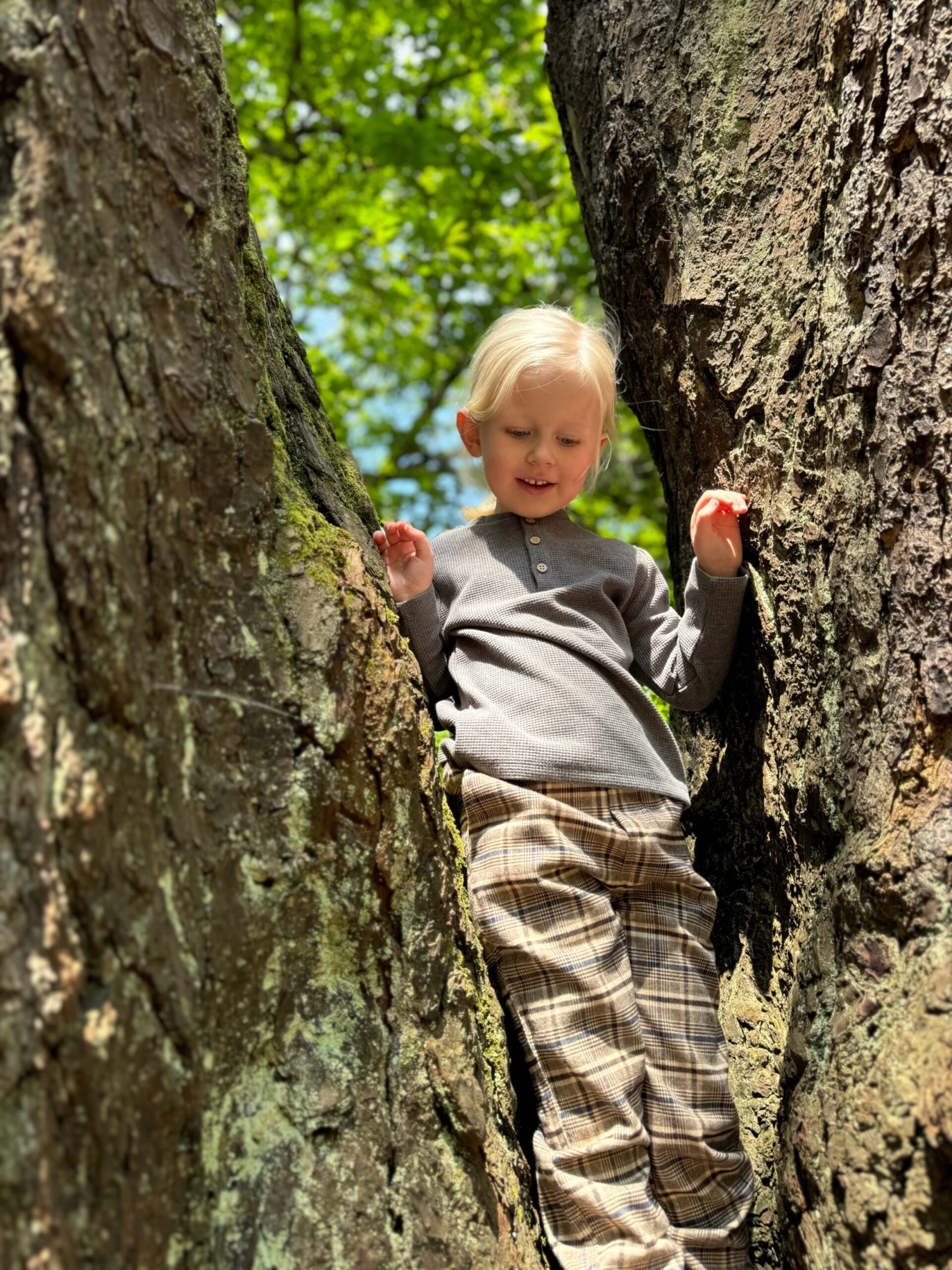 CHARLIE Brown Plaid Pants 2 CHARLIE Brown Plaid Pants - Image 2