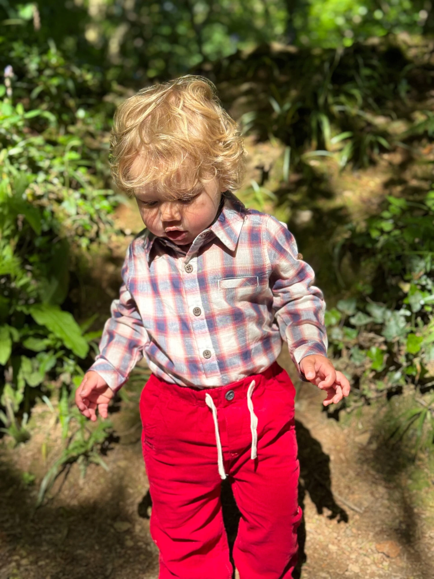 MODOC Red Cord Pants 2 MODOC Red Cord Pants - Image 2