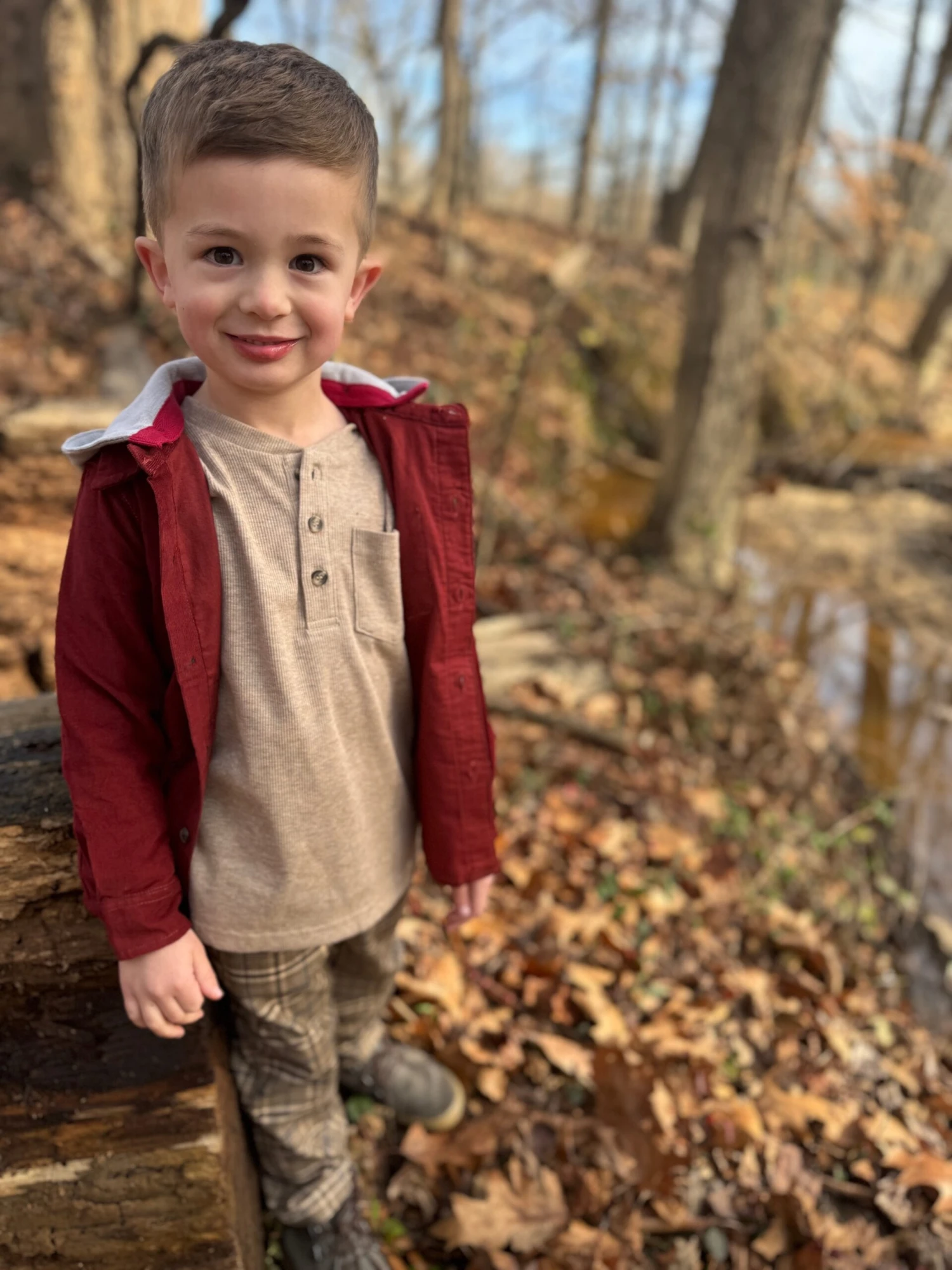 CHARLIE Brown Plaid Pants 7 CHARLIE Brown Plaid Pants - Image 7