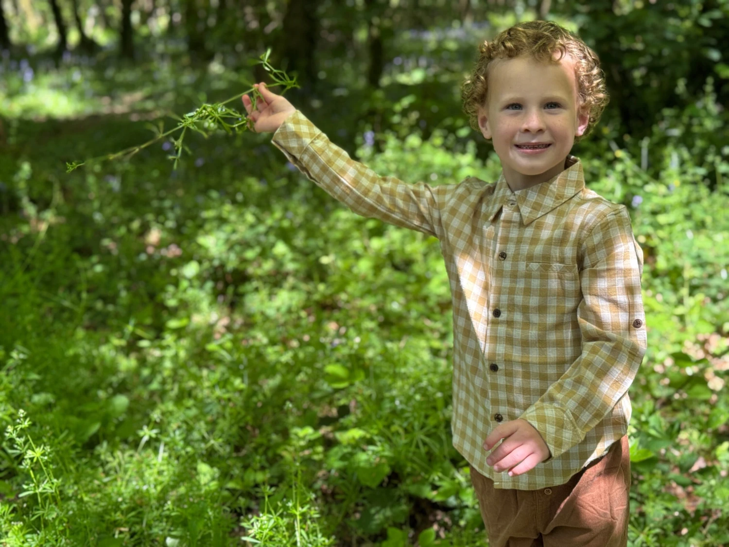ATWOOD Gold/White Plaid Shirt 4 ATWOOD Gold/White Plaid Shirt - Image 4