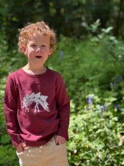 CHEROKEE Burgundy With Dino Skeleton Printed Tee -Me & Henry HB938B HB1340A 3