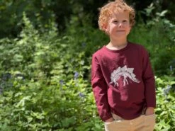 CHEROKEE Burgundy With Dino Skeleton Printed Tee -Me & Henry HB938B HB1340A 5