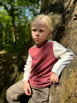 CHAPIN Burgundy With Stripe Tee -Me & Henry HB939B HB1336A 2