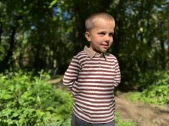 WAVERLY Brown Stripe Polo -Me & Henry HB943B 4