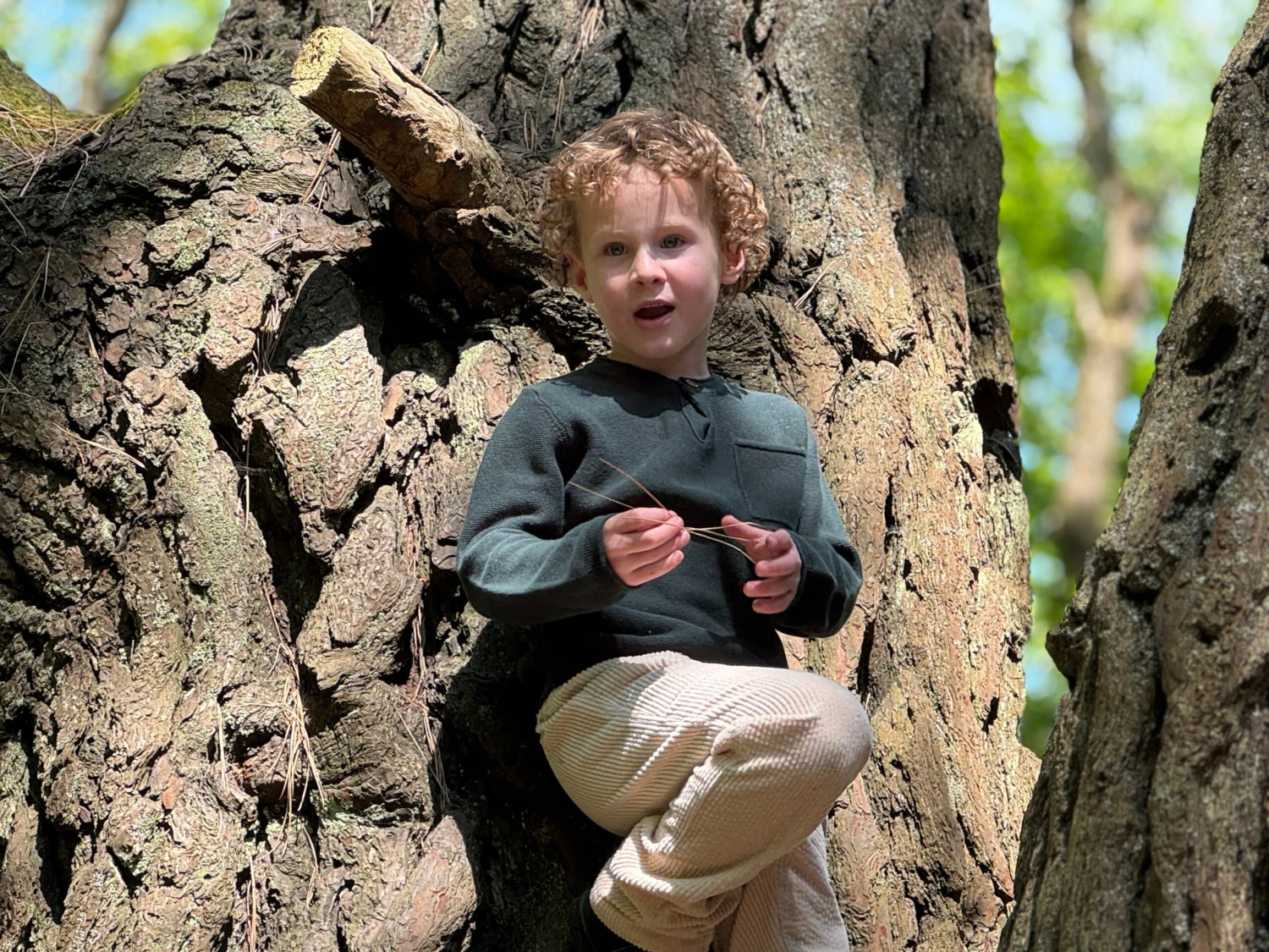 DAYTON Green Sweater 3 DAYTON Green Sweater - Image 3