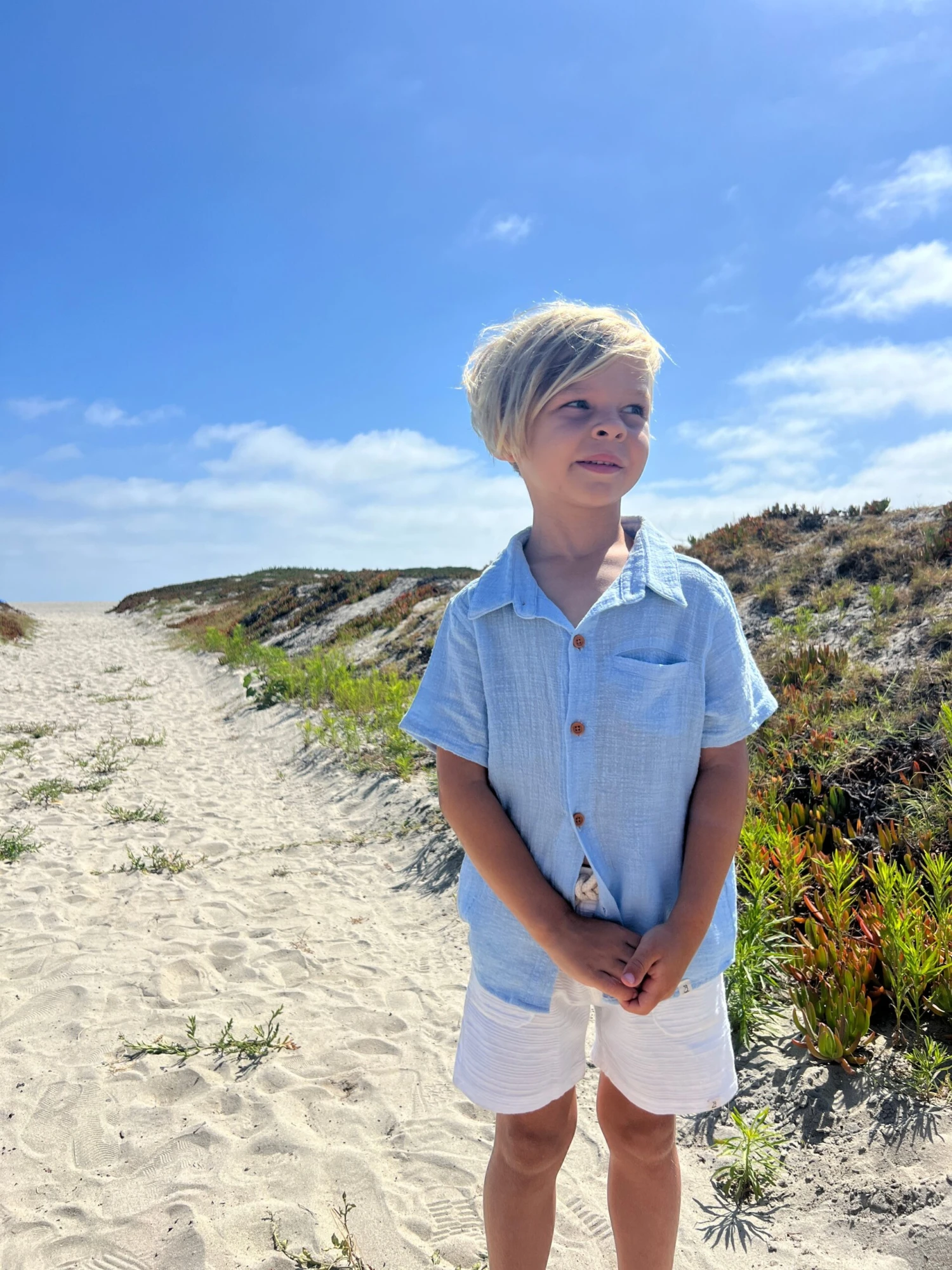 NEWPORT Blue Woven Shirt 3 NEWPORT Blue Woven Shirt - Image 3