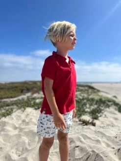 MAHALO Navy Boats Printed Shorts -Me & Henry IMG 2340