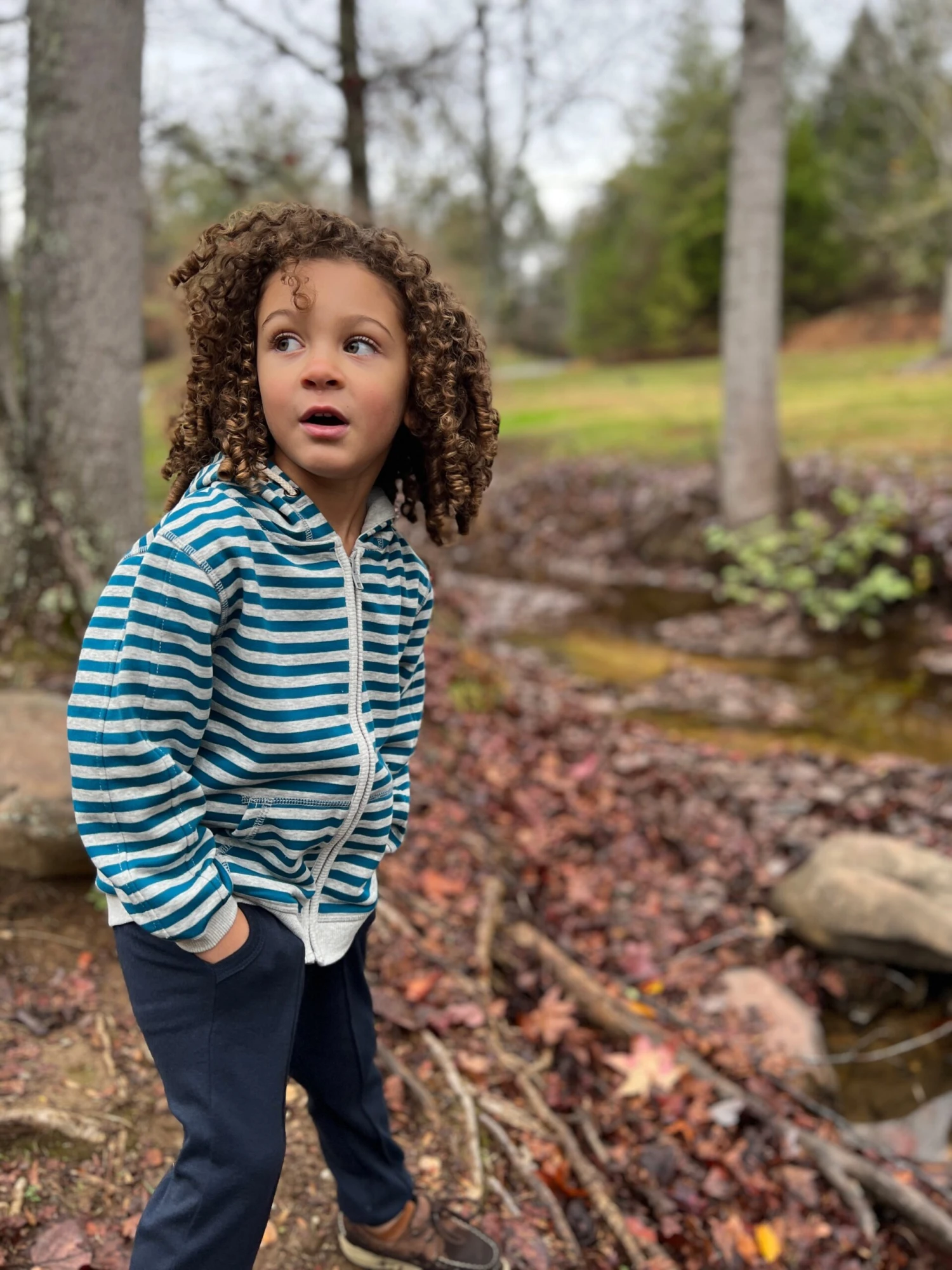 JAMES Grey W/ Blue Stripe Hooded Top 2 JAMES Grey W/ Blue Stripe Hooded Top - Image 2