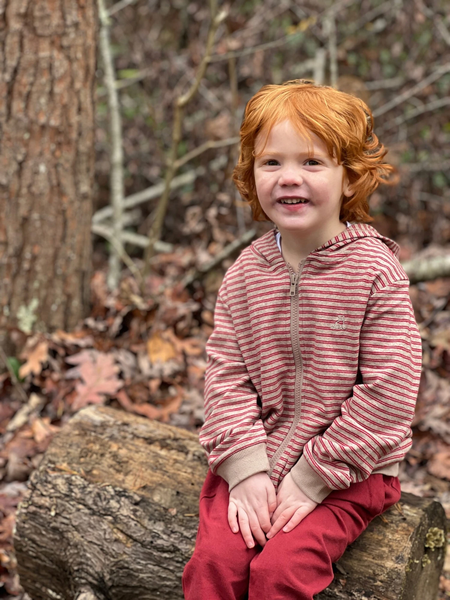 JAMES Red/Beige Cosy Stripe Zipped Hooded Top 3 JAMES Red/Beige Cosy Stripe Zipped Hooded Top - Image 3