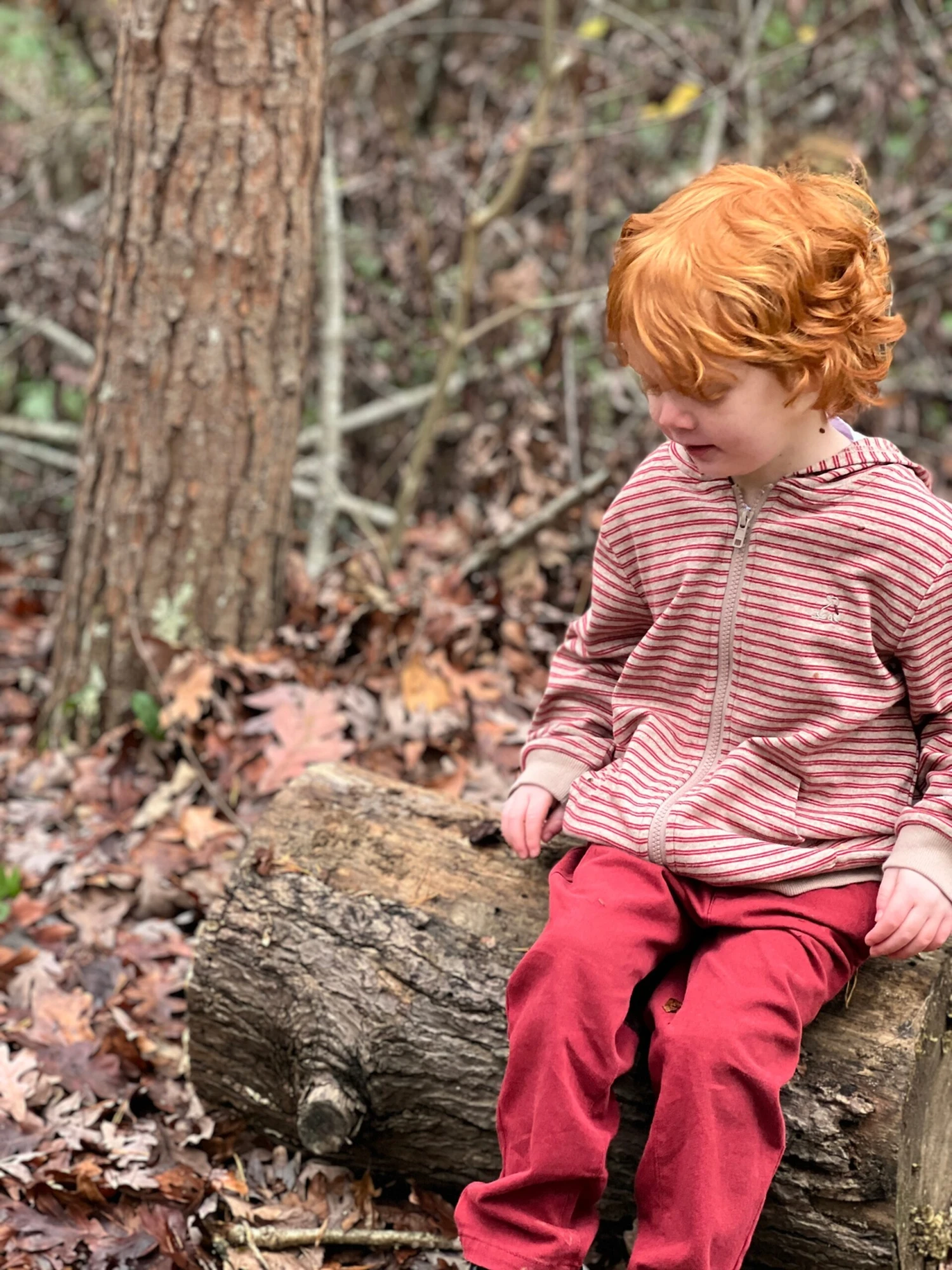 JAMES Red/Beige Cosy Stripe Zipped Hooded Top 2 JAMES Red/Beige Cosy Stripe Zipped Hooded Top - Image 2