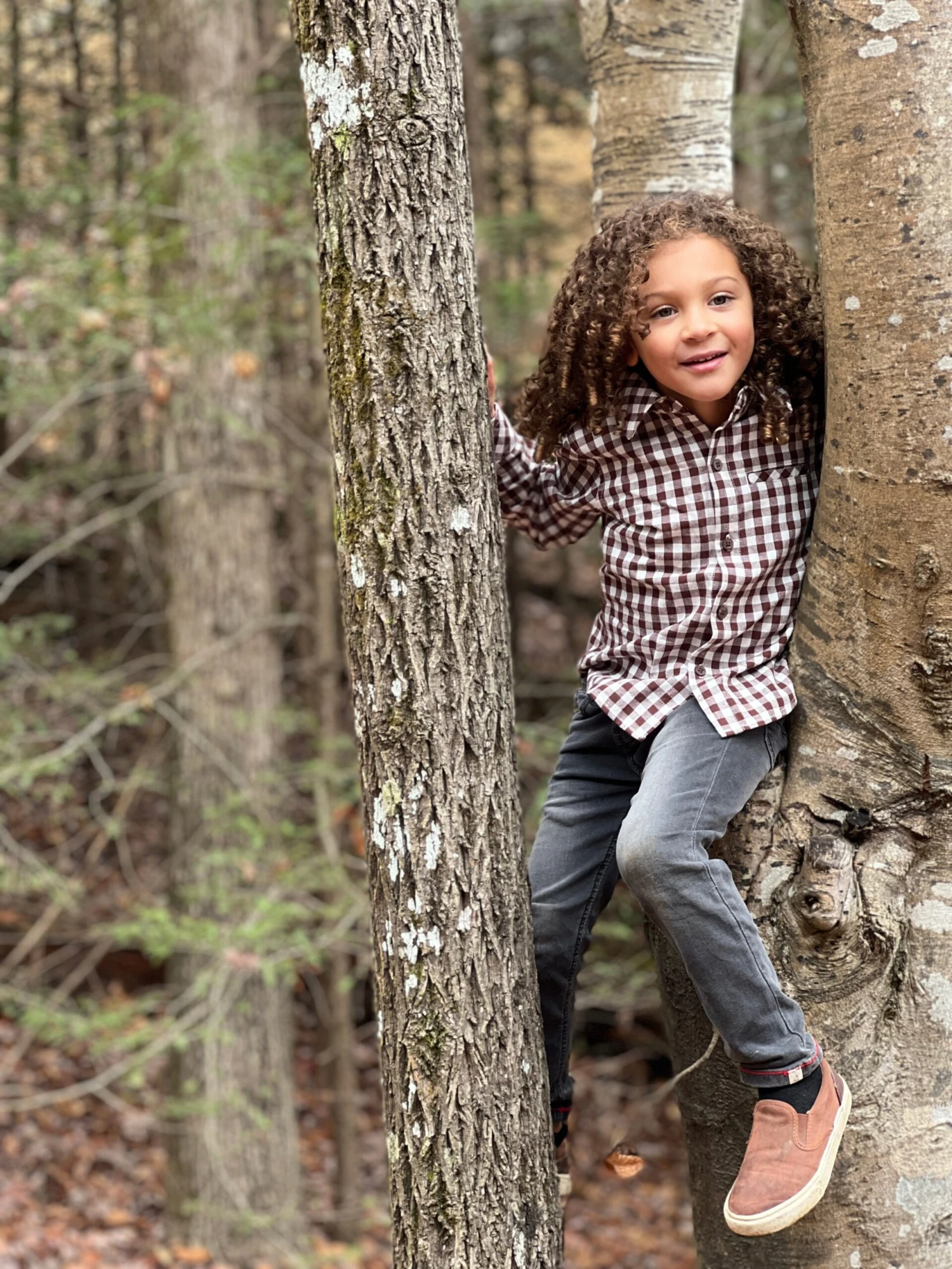 ATWOOD Brown Micro Plaid Woven Shirt 3 ATWOOD Brown Micro Plaid Woven Shirt - Image 3