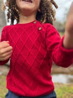 ARCHIE Red Sweater -Me & Henry IMG 5235