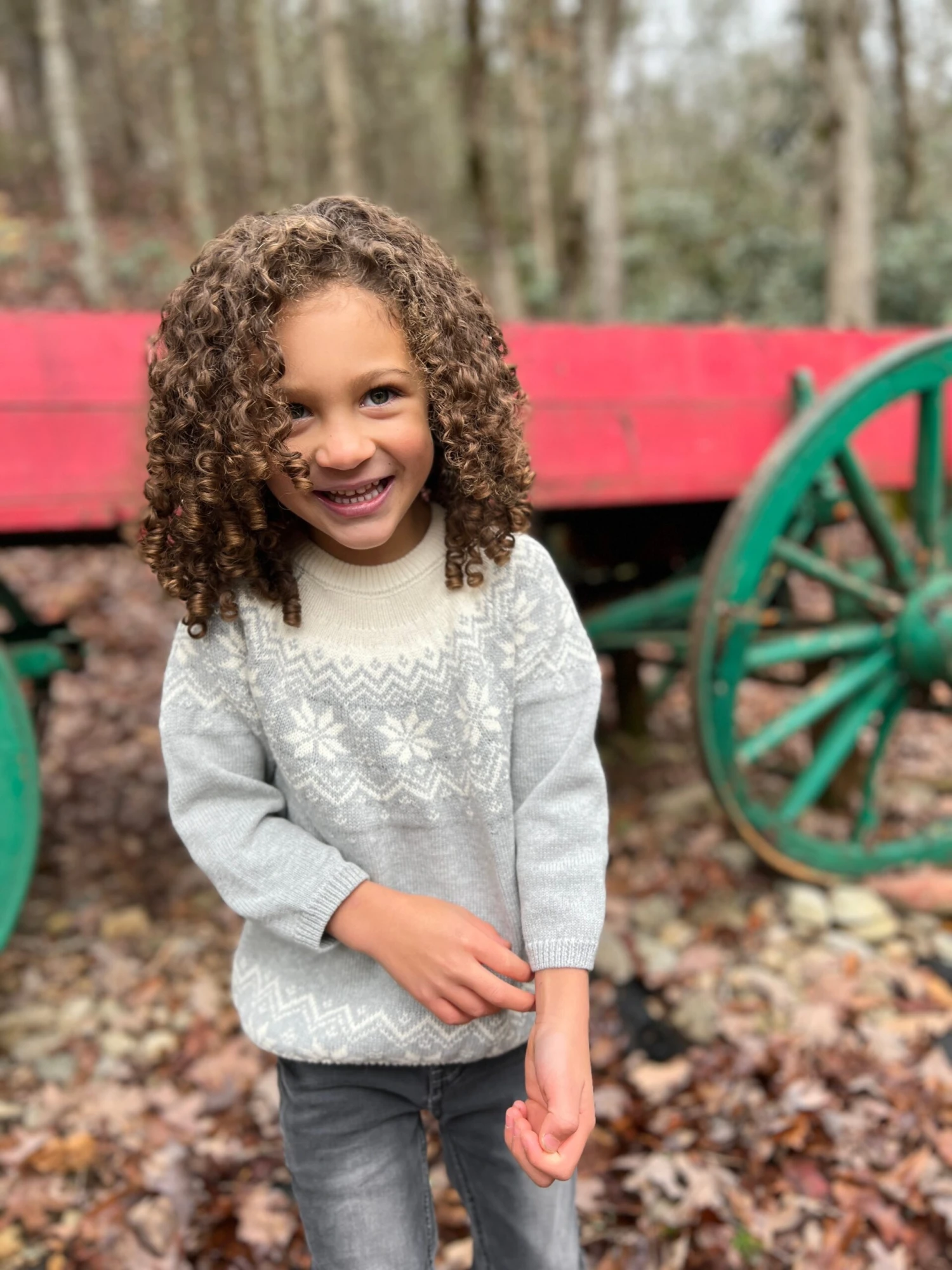 IGLOO Grey Fairisle Sweater 3 IGLOO Grey Fairisle Sweater - Image 3