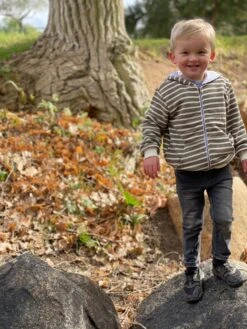 PARSONS Mushroom/Cream Stripe Zipped Hooded Top -Me & Henry IMG 6967