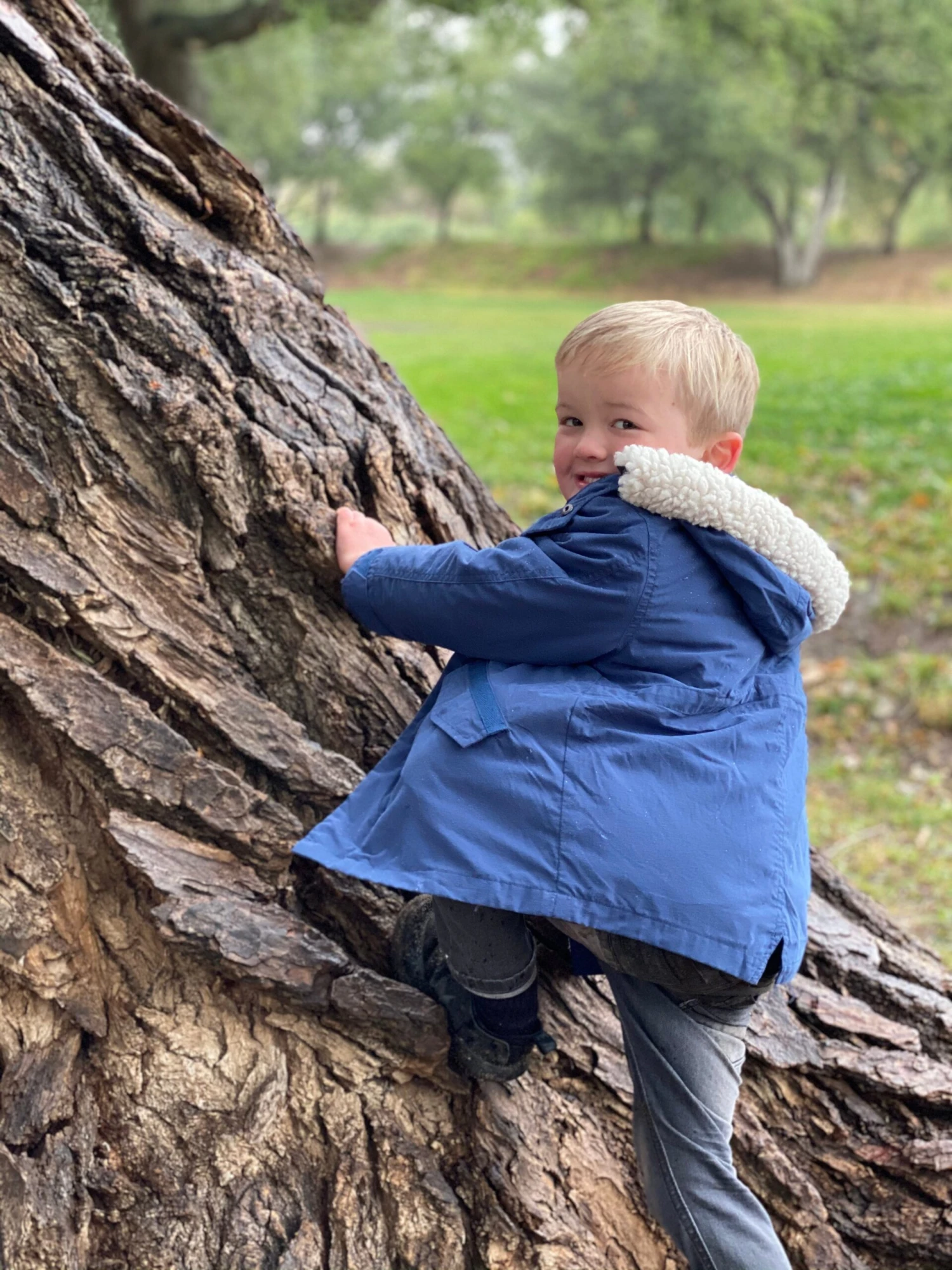 CORBY Blue Parka Jacket 2 CORBY Blue Parka Jacket - Image 2