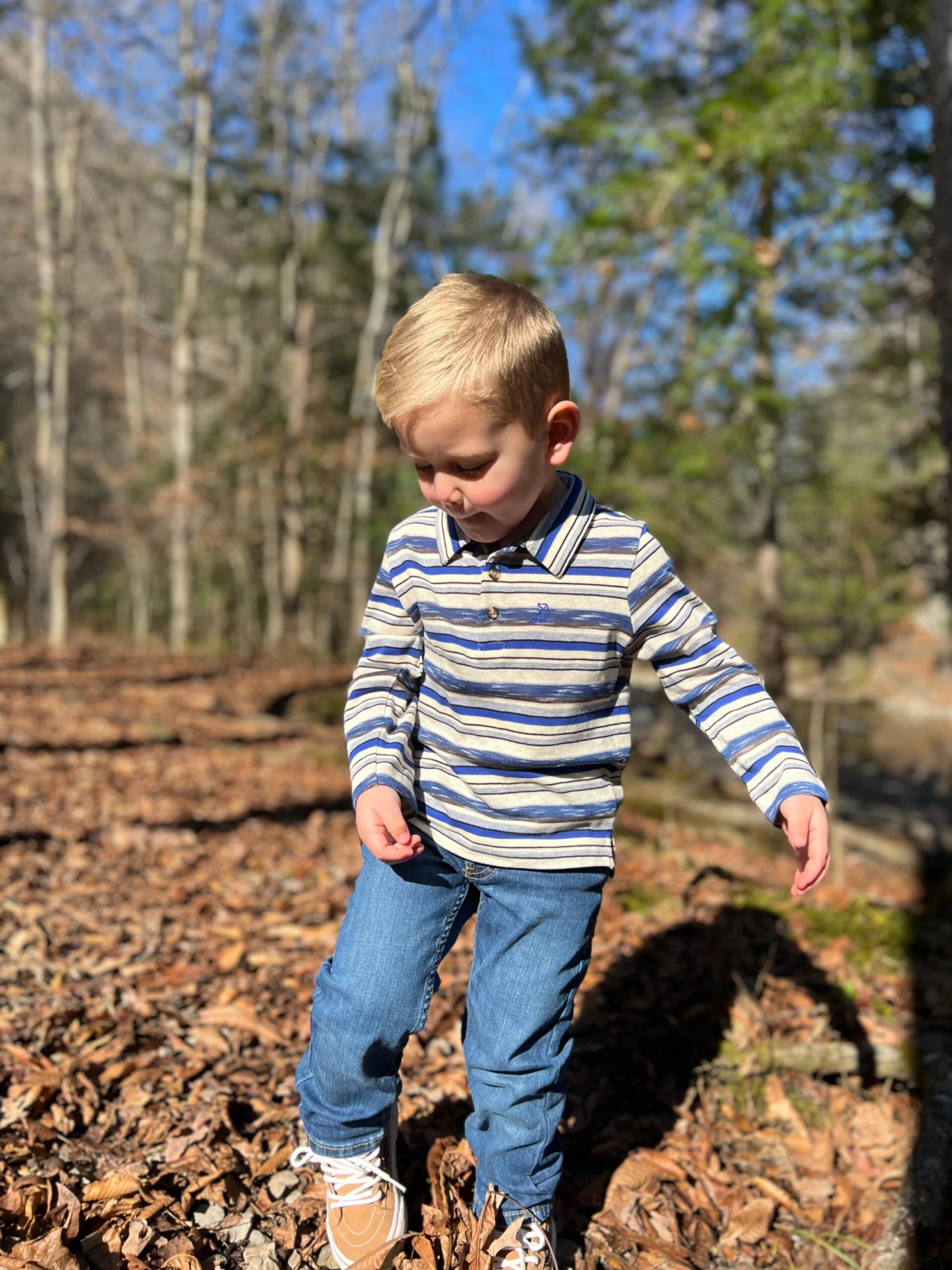 SUMTER Blue/Cream/Brown StripePique Polo 3 SUMTER Blue/Cream/Brown StripePique Polo - Image 3